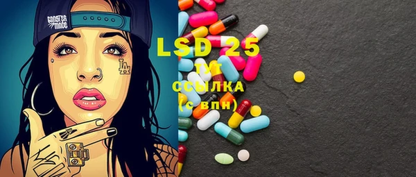spice Гусиноозёрск