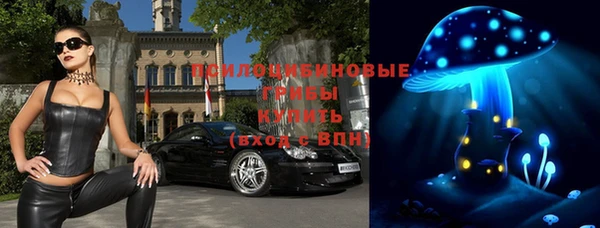 spice Гусиноозёрск